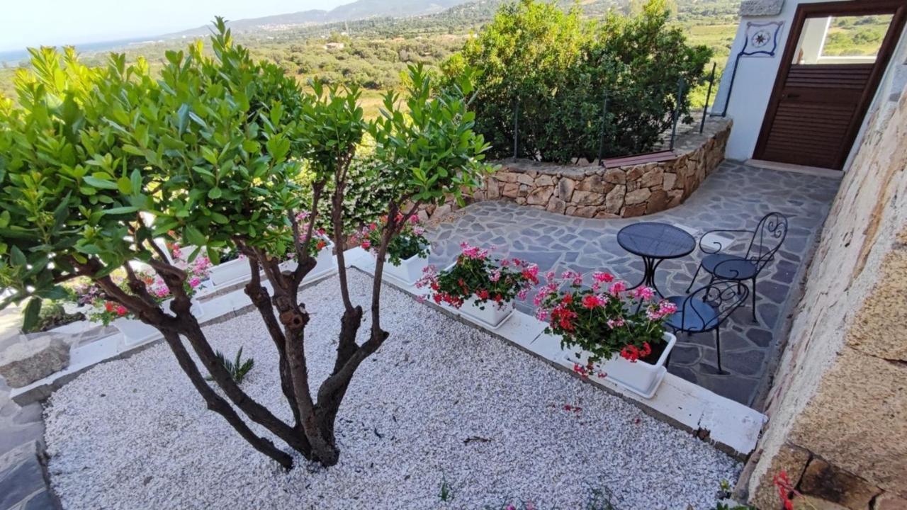 Casa L'Ulivariu Affittacamere Сан-Теодоро Экстерьер фото